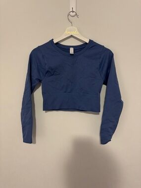 Offline by Aerie Long Sleeve Cropped Top - Blue